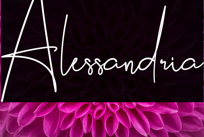 Alessandria Caratteri examples
