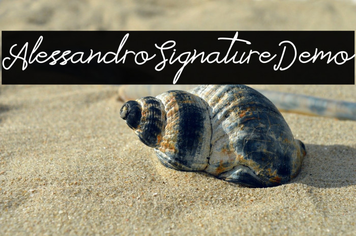 Alessandro_Signature_Demo Example 2