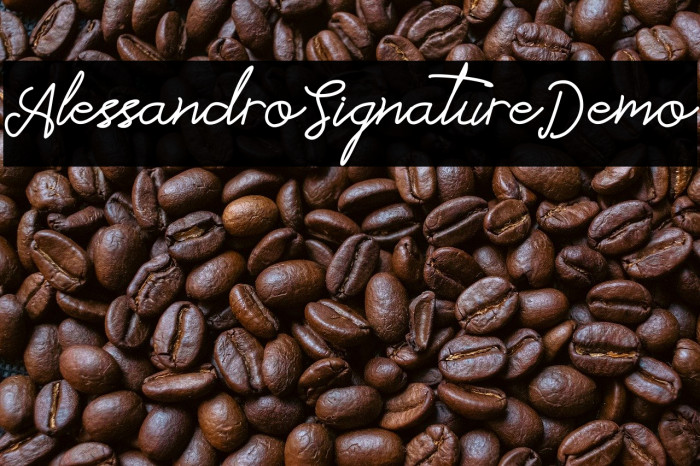 Alessandro_Signature_Demo Example 3