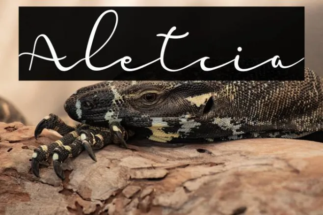 Aletcia Example 1
