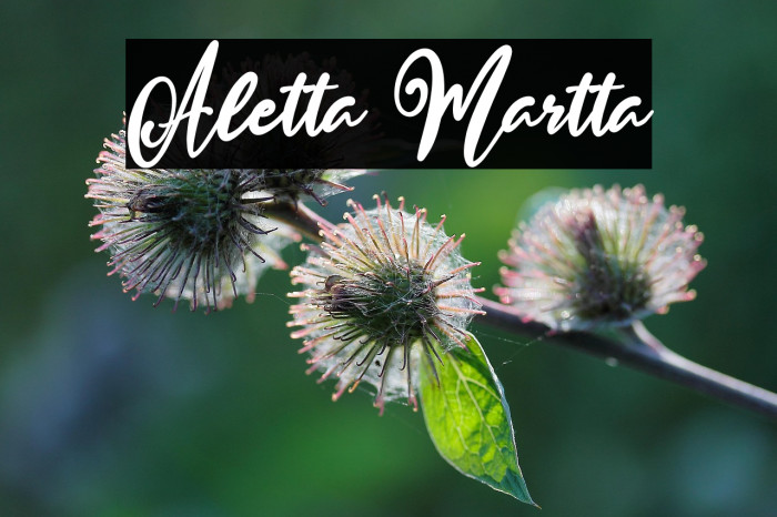 Aletta Martta Example 1