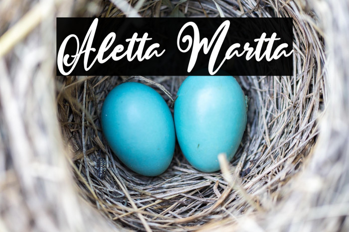 Aletta Martta Example 2