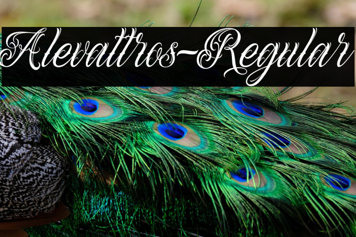 Alevattros-Regular Example 3