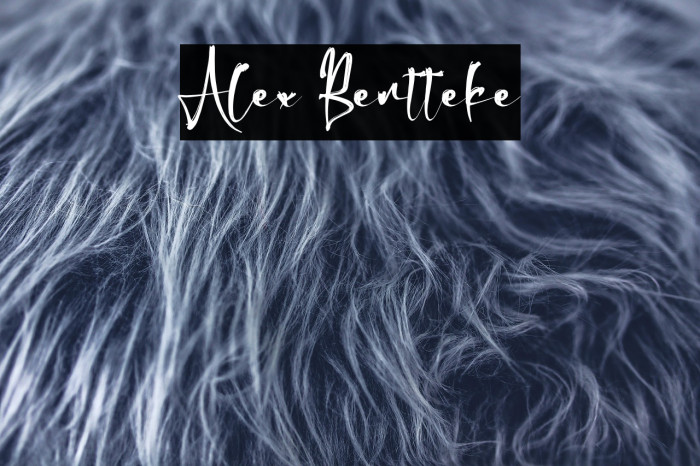 Alex Bentteke Example 2