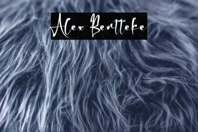 Alex Bentteke Example 2