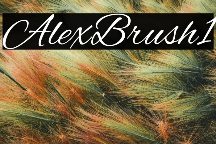 Alex Brush1 Example 1