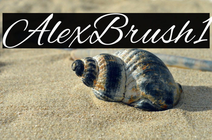 Alex Brush1 Example 2