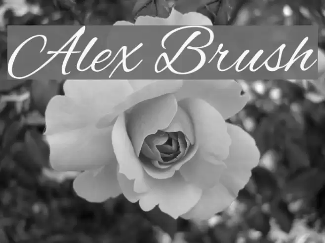 Alex Brush Caratteri examples