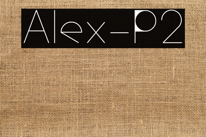 Alex-P2 Example 2