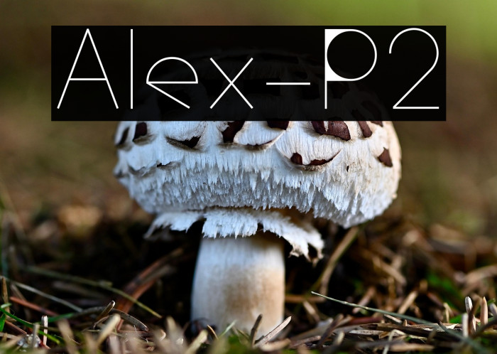 Alex-P2 Example 3