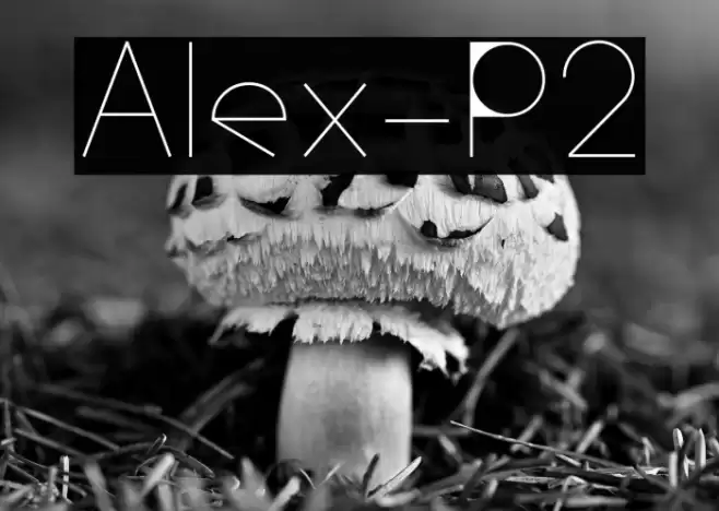 Alex-P2 Font examples