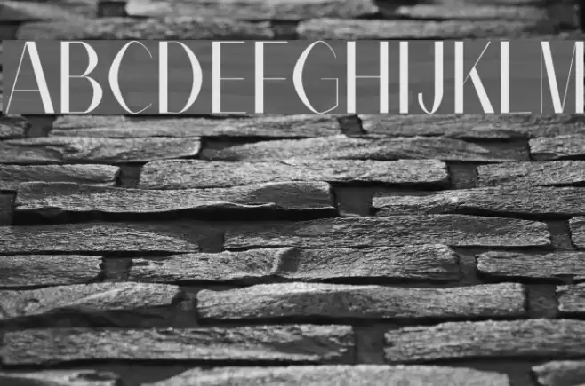 Alex Regular   Font examples