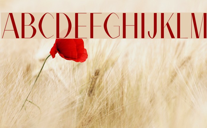 Alex Regular   Example 2