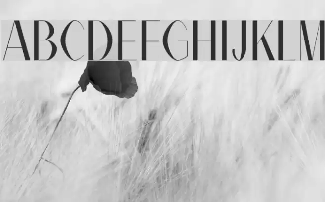 Alex Regular   Font examples