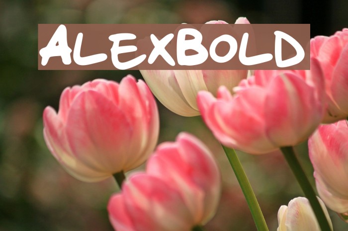 Alex_Bold Font examples