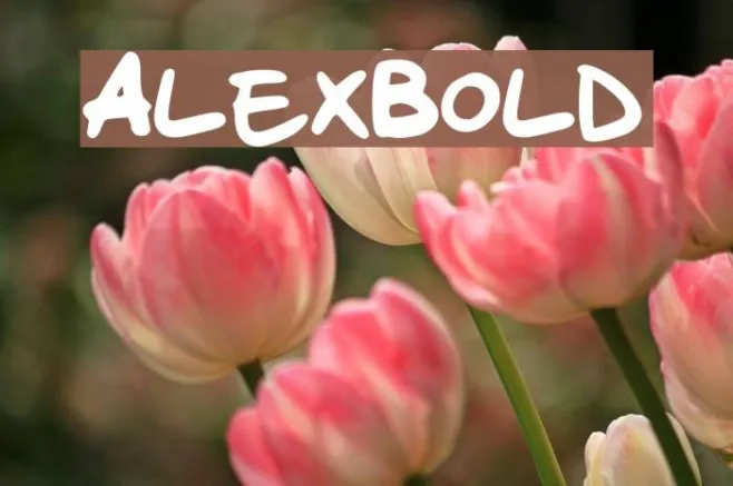 Alex_Bold Example 1