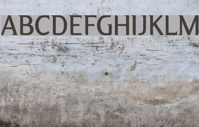 Alex Font examples