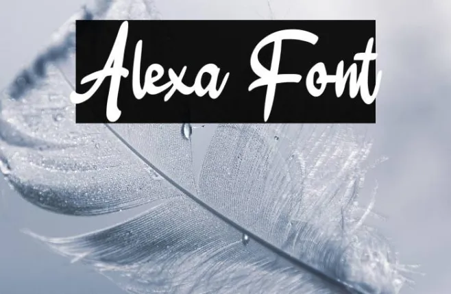 Alexa Example 1