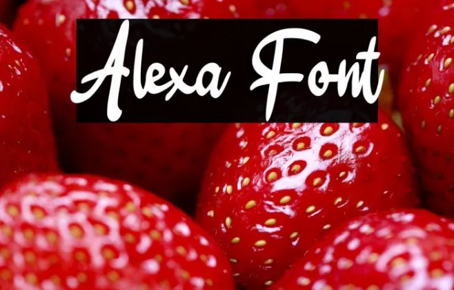Alexa Example 2