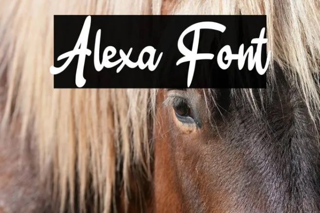 Alexa Example 3