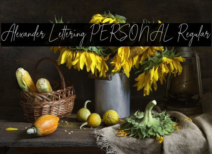 Alexander Lettering PERSONAL Regular Example 1