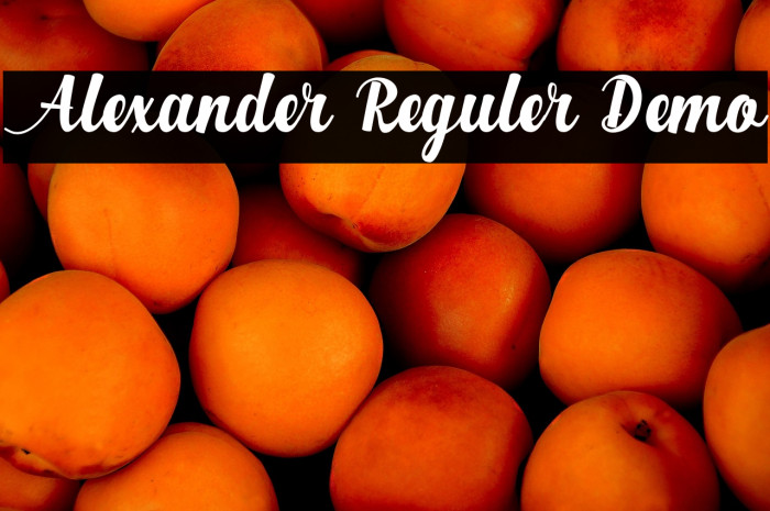 Alexander Reguler Demo Example 3