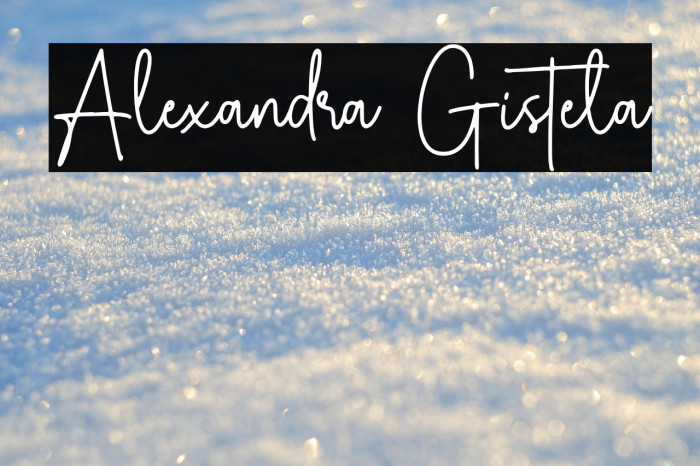 Alexandra Gistela Example 3