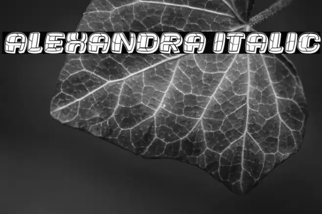 Alexandra Italic Font examples