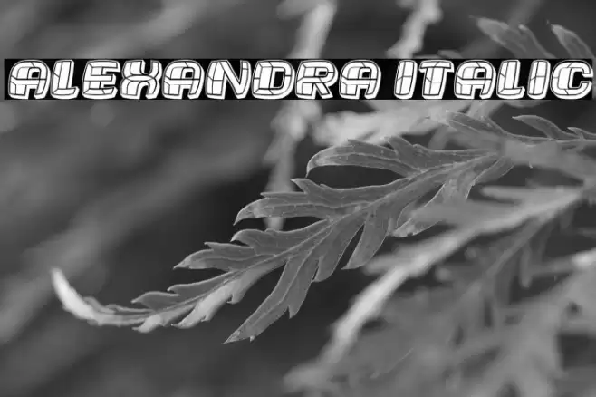Alexandra Italic Font examples