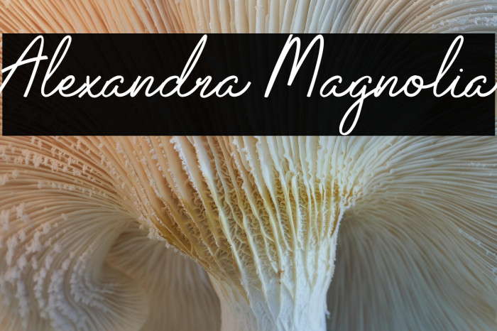 Alexandra Magnolia Example 2