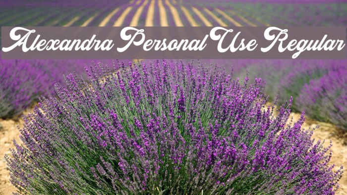 Alexandra Personal Use Regular Font examples