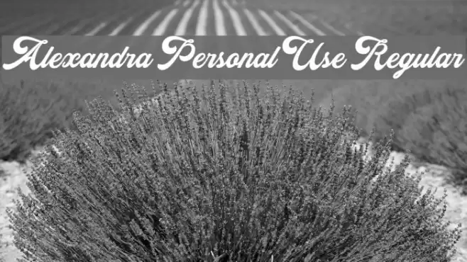 Alexandra Personal Use Regular Font examples