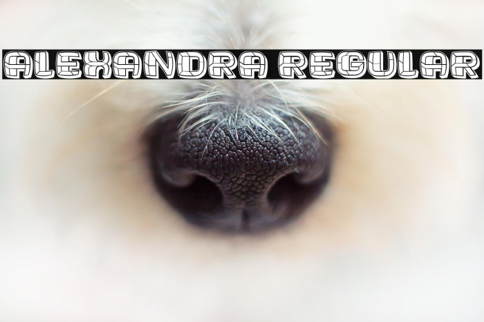 Alexandra Regular Example 3