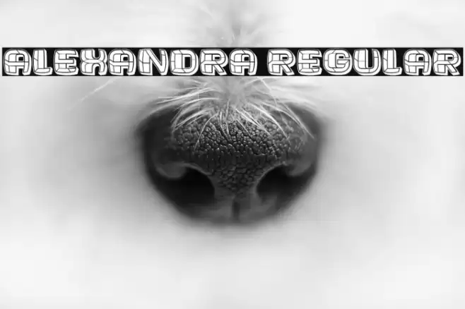 Alexandra Regular Font examples
