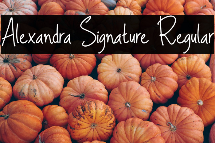 Alexandra Signature Regular Example 1