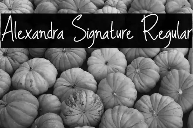 Alexandra Signature Regular Font examples