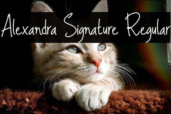 Alexandra Signature Regular Example 3