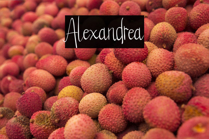 Alexandrea Example 1