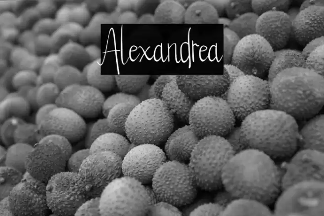 Alexandrea Font examples