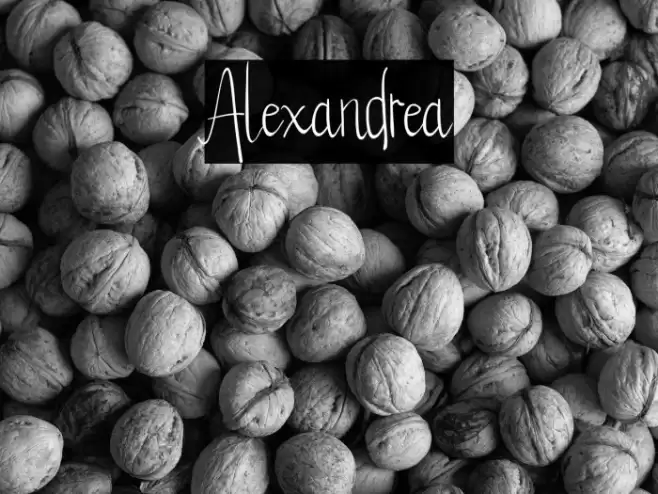 Alexandrea Font examples
