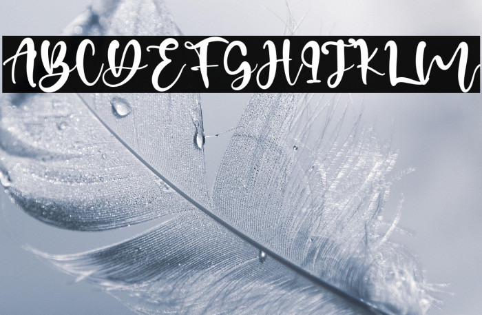 Alexandreas Example 2