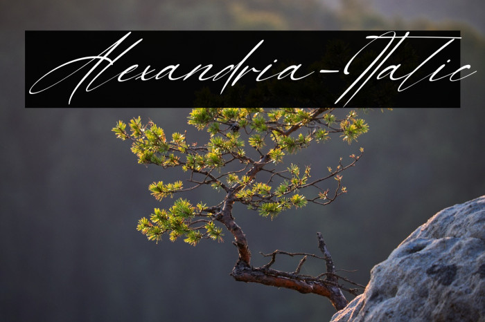 Alexandria-Italic Example 1