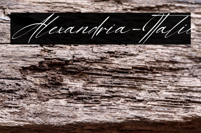 Alexandria-Italic Example 2