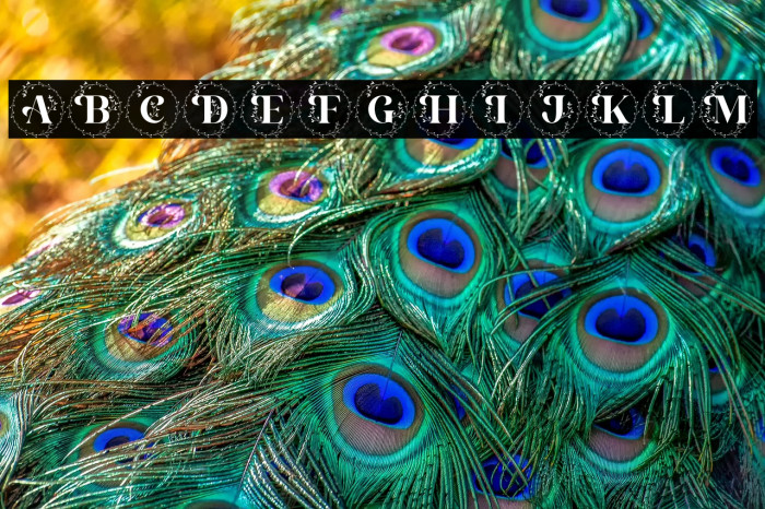 Alexandria Monogram Example 1