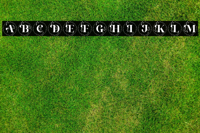 Alexandria Monogram Example 2