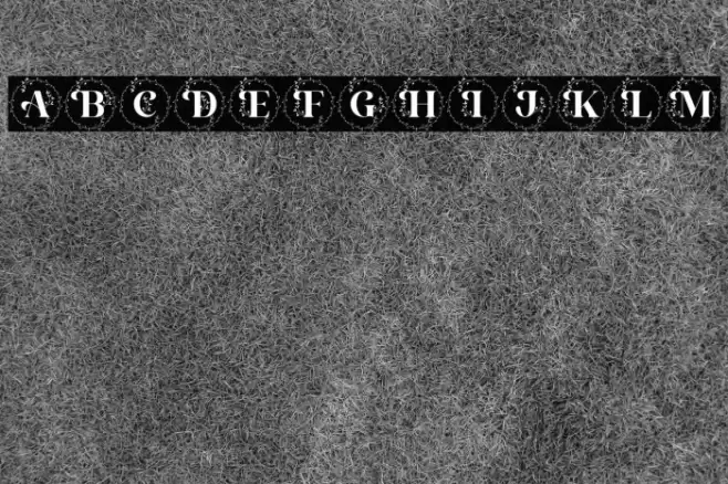 Alexandria Monogram Font examples