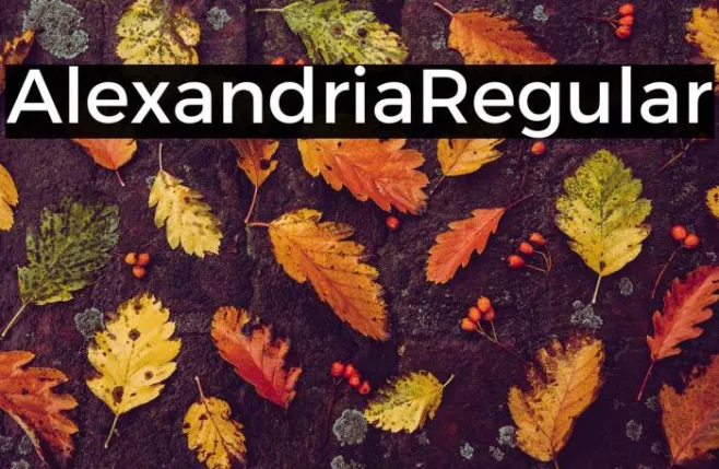 Alexandria Regular Example 2