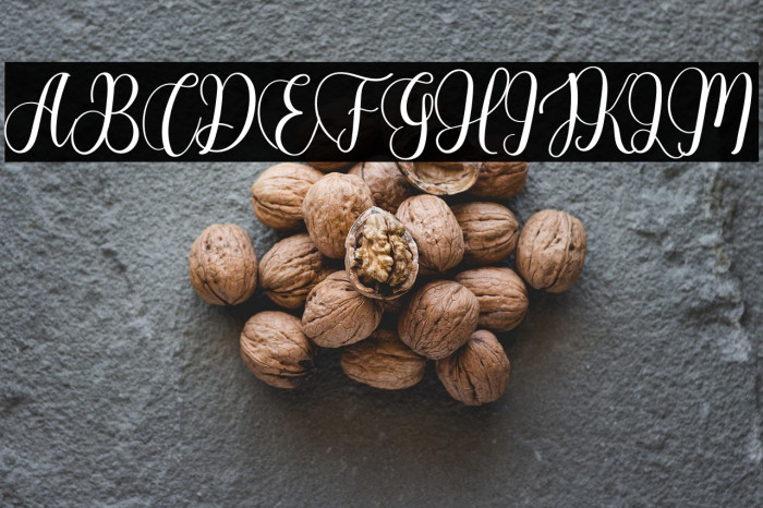 Alexandria Example 1