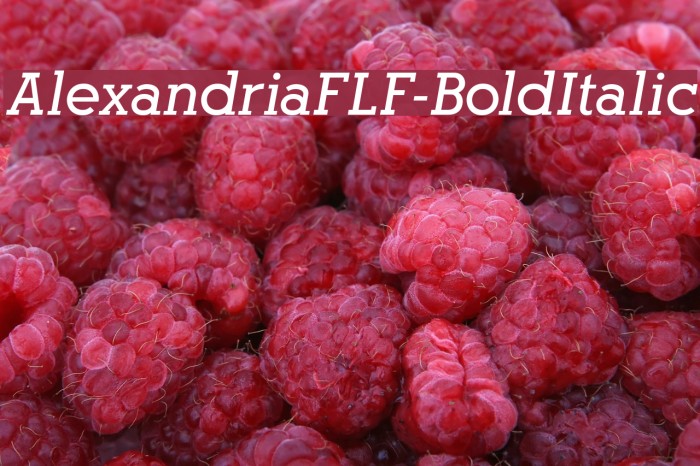 AlexandriaFLF-BoldItalic Font examples