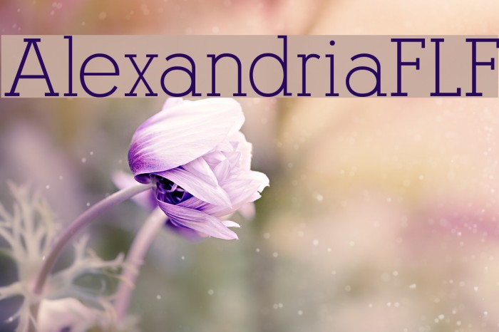 AlexandriaFLF Font examples